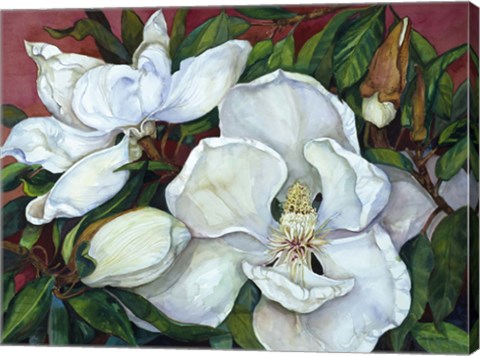 Framed Magnolias Print