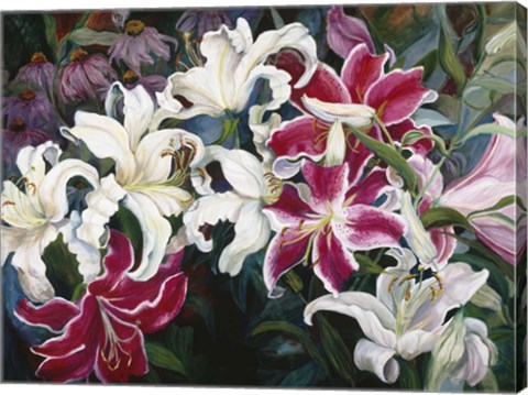 Framed Field Of White And Pink Lilies Print