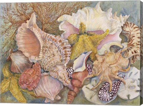 Framed Treasures Of The Sea Print