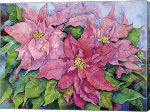 Framed Pink Poinsettia Print