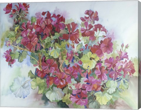 Framed Geraniums Reaching For The Sky Print