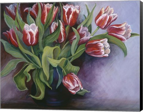 Framed White Tipped Red Tulips Print