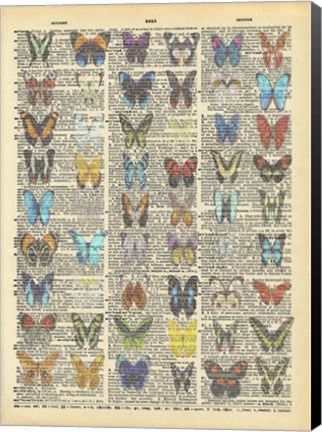 Framed Secret Butterfly III Print