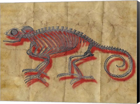 Framed Chameleon II Print