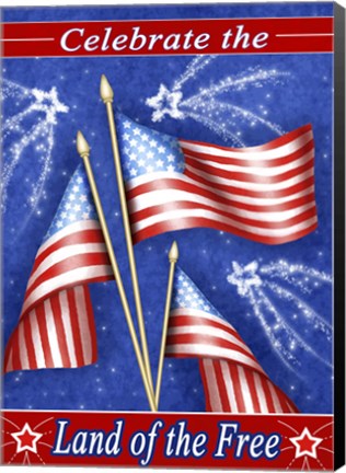 Framed Celebrate Freedom Print