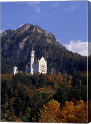 Framed Bavarian Alps and Neuschwanstein Castle Print