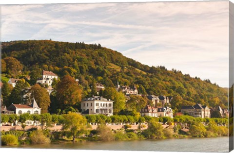 Framed Horses at Neckar River in Germany Print