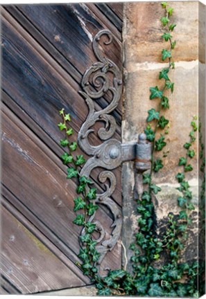 Framed Rose Garden in Bamberg, Germany Print