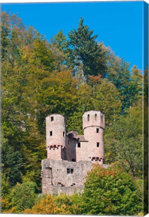 Framed Schwalbennest, Germany Print