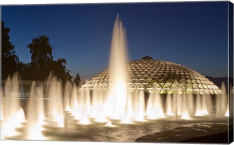 Framed Bloedel Conservatory, Queen Elizabeth Park Print