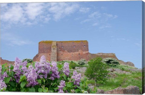 Framed Hammershus Castle Ruins Print