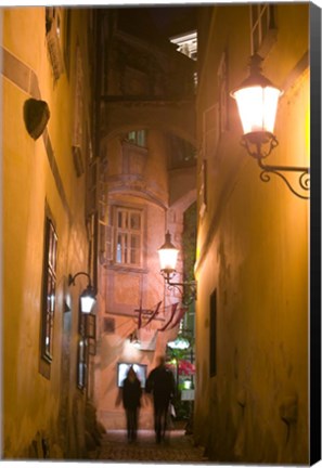 Framed Griechengasse Visitors in Vienna, Austria Print