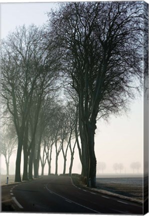 Framed Country Road in Morning Mist Print