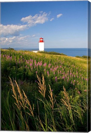 Framed Lighthouse at St Martins Print