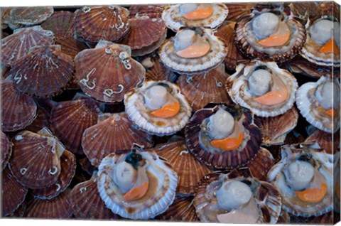 Framed Trouville Fish Market, Calvados, France Print