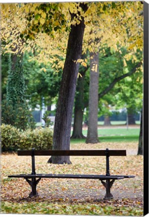 Framed Parc de la Pepiniere, France Print