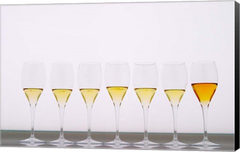 Framed Wine Tasting Glasses, Maison de la Champagne Print