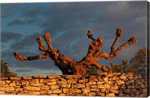 Framed Sunrise in Gordes, France Print