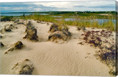 Framed Sandy Beach Print