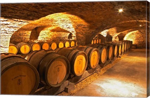 Framed Oak Barrels in Cellar at Domaine Comte Senard Print