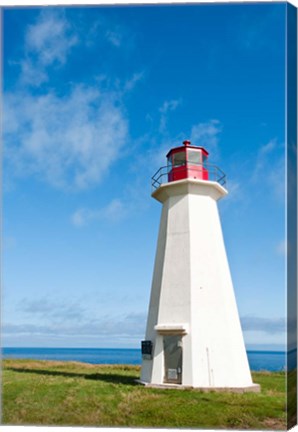 Framed Shipwreck Point Lighthouse Print