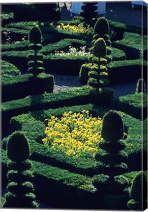 Framed Garden at Villandry Chateau in France Print