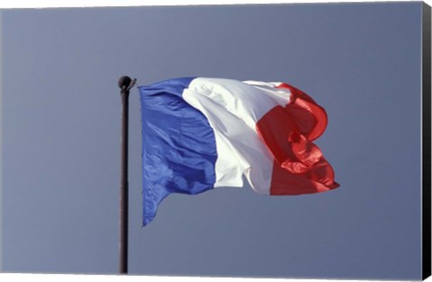 Framed French Flag Print