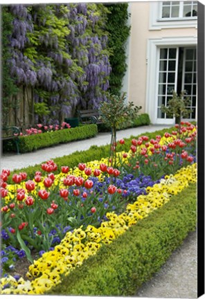 Framed Mirabell Garden Print