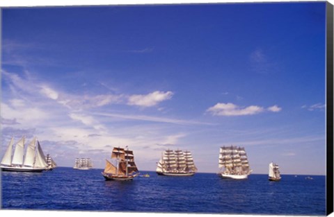 Framed Tall Ships Race in Nova Scotia Print