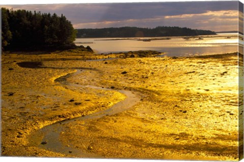 Framed Tide at Sunset on Campobello Island Print