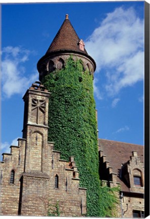 Framed Ivy-Covered Medieval Tower Print