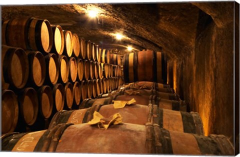 Framed Wooden Barrels with Aging Wine in Cellar Print