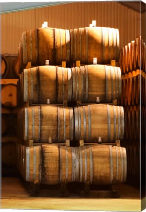 Framed Oak Barrels, Maison Giraud-Hemart Print