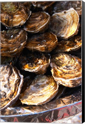 Framed Plate of Oysters, France Print