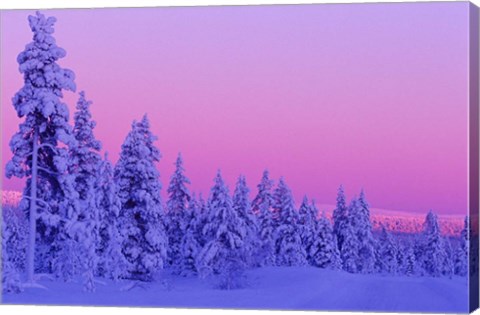 Framed Winter Sunset in Finland Print