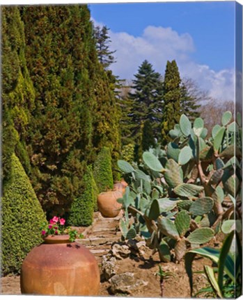 Framed Botanical Garden in Balchik Print