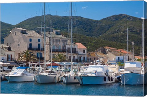Framed Macinaggio Harbor Print