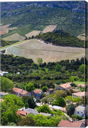 Framed Le Cap Corse, Patrimonio Print