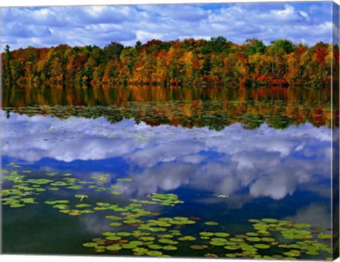 Framed Park Haven Lake in Autumn Print