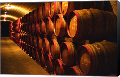 Framed Barrels of Tokaj Wine in Disznoko Cellars, Hungary Print