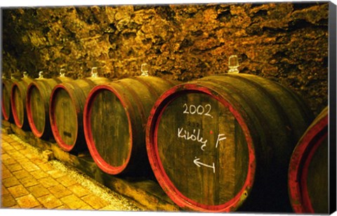 Framed Kiralyudvar Winery Barrels with Tokaj Wine, Hungary Print