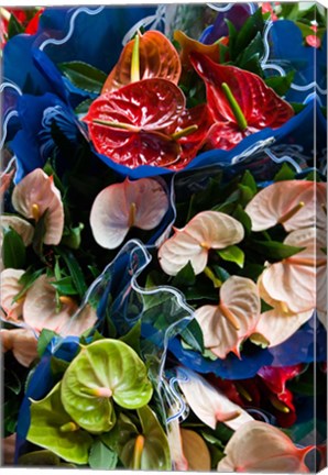 Framed Flamingo Flower, Seafront Market Print