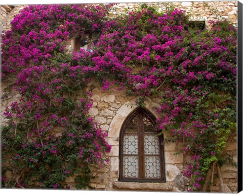 Framed Bright Pink Bougainvillea, Eze, France Print