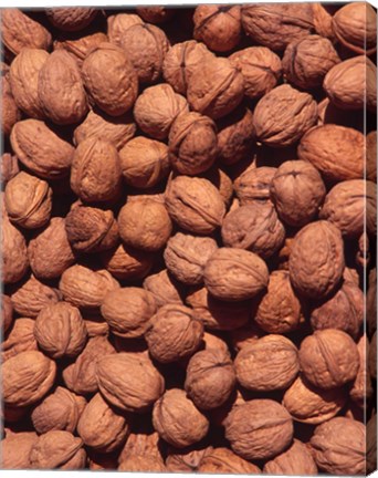 Framed Walnuts, Normandy, France Print