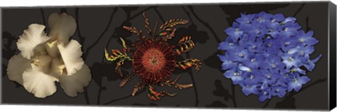 Framed Floral Burst I Print