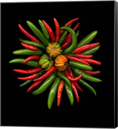 Framed Hot Peppers 1 Print