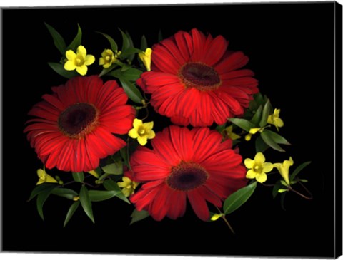 Framed Gerbera Daisy &amp; Carolina Jasmine Print