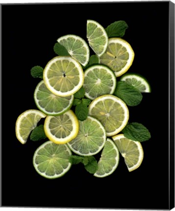 Framed Lemons, Limes &amp; Mint Print