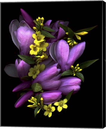 Framed Tulip Magnolia &amp; Jasmine Print