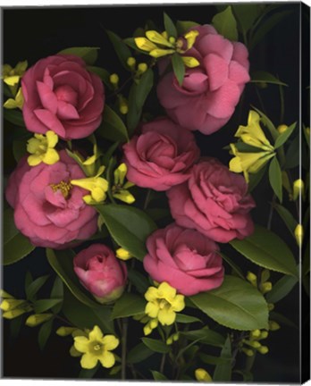 Framed Camellia 2 Print